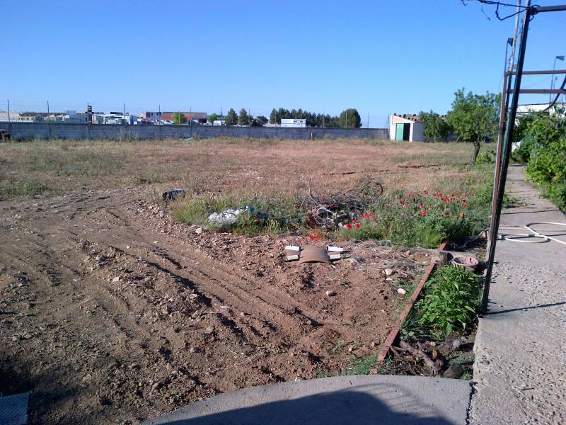 TERRENO DE MAS DE 5000 MTROS EN CTRA DE ROMICA - foto 2