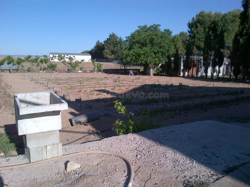 TERRENO DE MAS DE 5000 MTROS EN CTRA DE ROMICA - foto 3