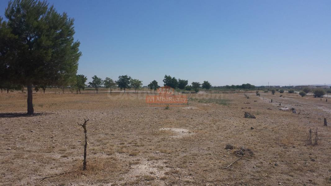 TERRENO RUSTICO EN ZONA LAS PERDICES, CARRETERA JAEN