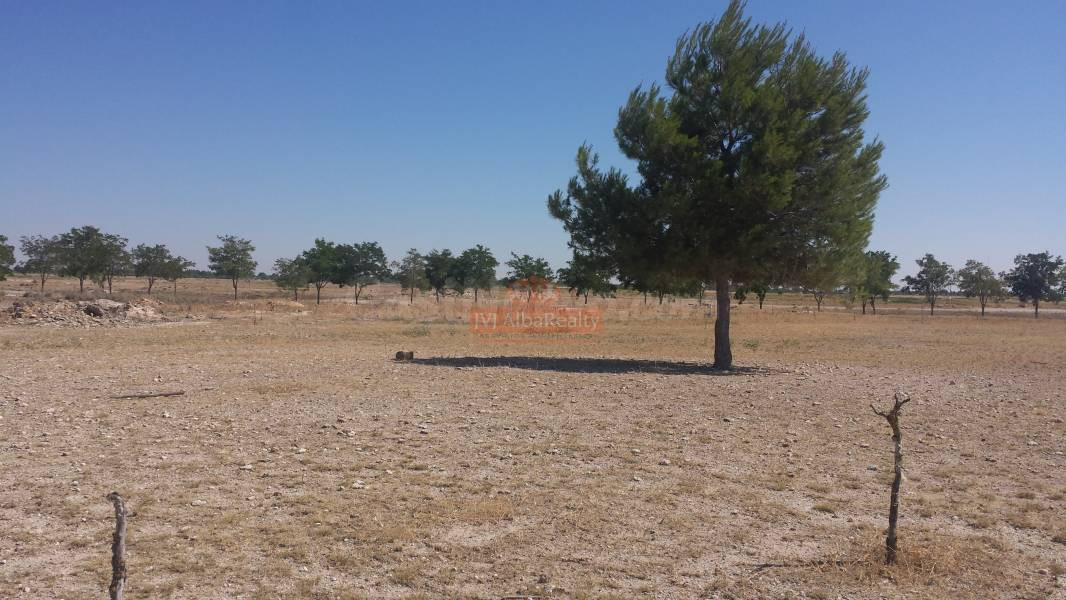 TERRENO RUSTICO EN ZONA LAS PERDICES, CARRETERA JAEN - foto 2