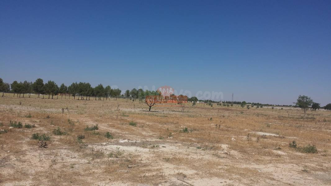 TERRENO RUSTICO EN ZONA LAS PERDICES, CARRETERA JAEN - foto 3
