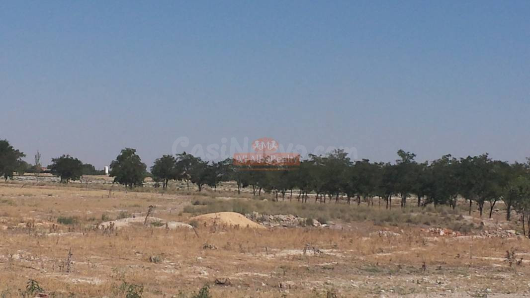 TERRENO RUSTICO EN ZONA LAS PERDICES, CARRETERA JAEN - foto 4