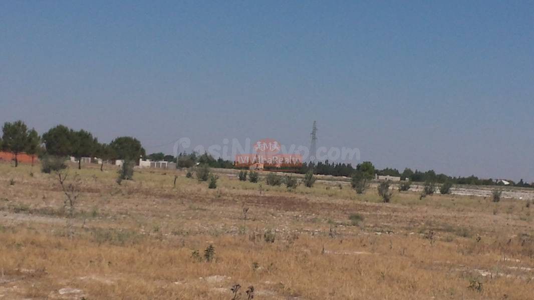 TERRENO RUSTICO EN ZONA LAS PERDICES, CARRETERA JAEN - foto 5