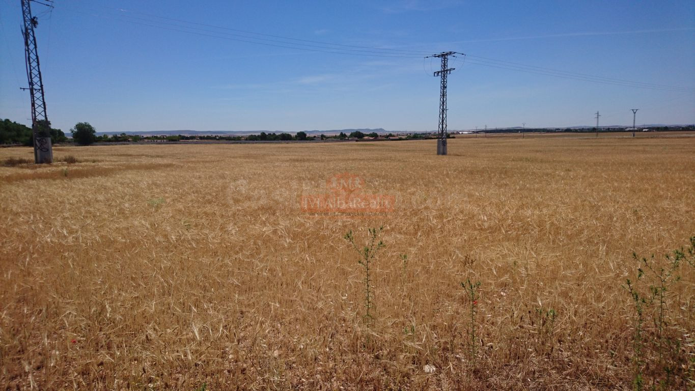 SE VENDE FINCA RUSTICA DE 40.800 M2 A 5 MINUTOS DE ALBACETE - foto 2