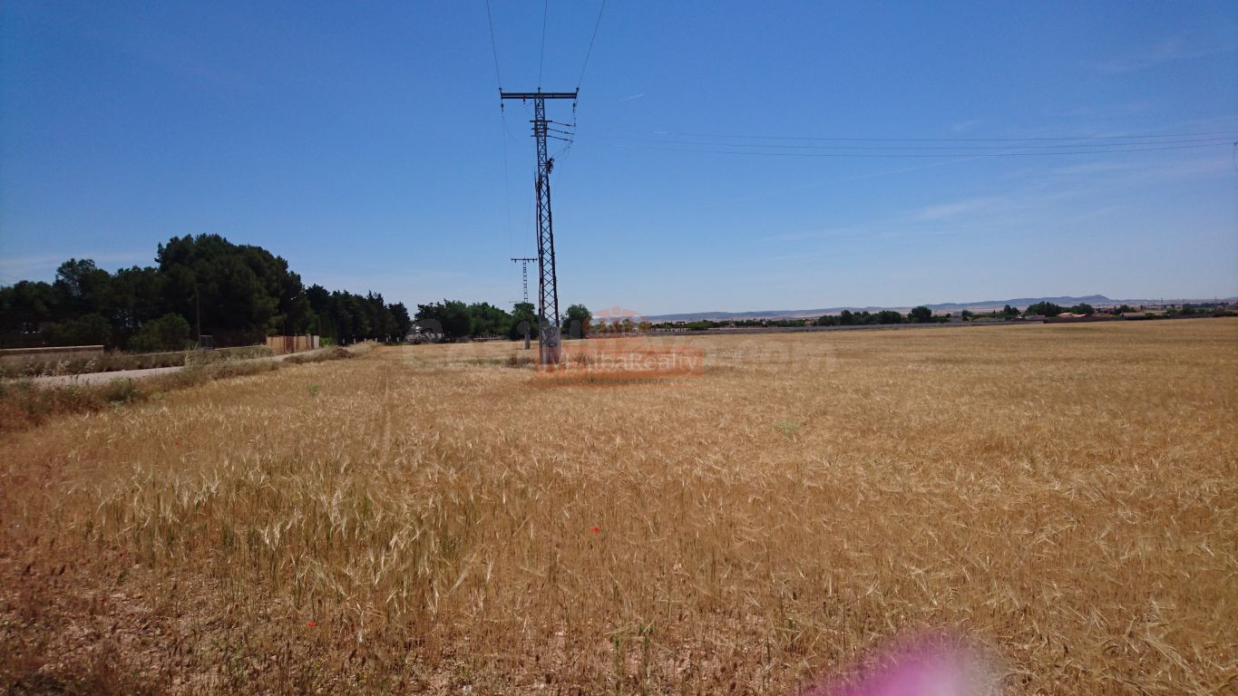SE VENDE FINCA RUSTICA DE 40.800 M2 A 5 MINUTOS DE ALBACETE - foto 3