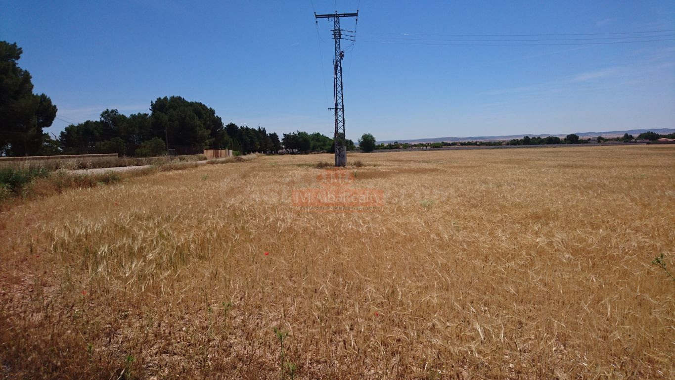 SE VENDE FINCA RUSTICA DE 40.800 M2 A 5 MINUTOS DE ALBACETE - foto 4
