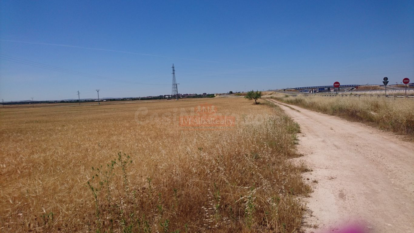 SE VENDE FINCA RUSTICA DE 40.800 M2 A 5 MINUTOS DE ALBACETE - foto 5