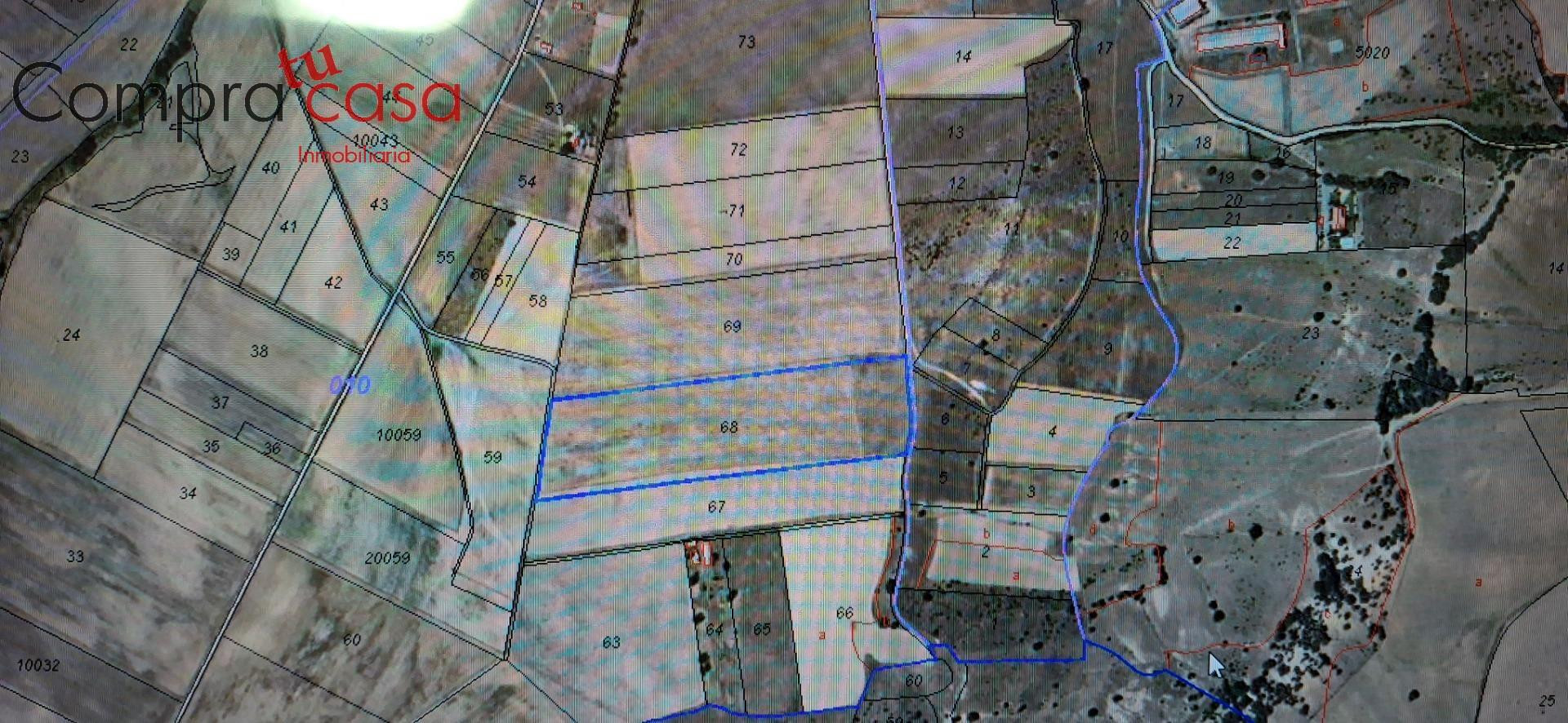 VENTA PARCELA AGRARIA EN FUENTEMILANOS,SEGOVIA - foto 3