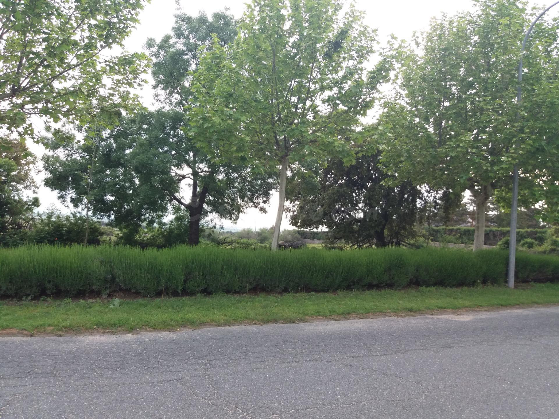 VENTA PARCELA URBANA EN ORTIGOSA DEL MONTE. - foto 4