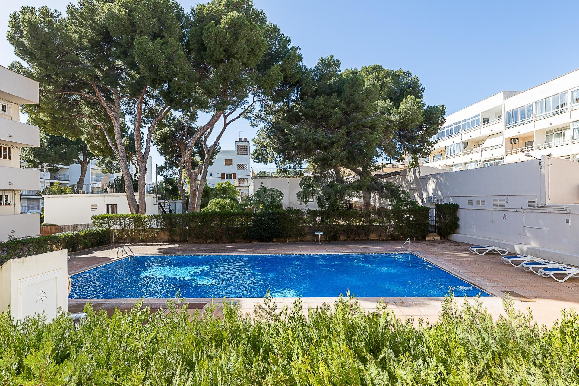 APARTAMENTO EN PALMANOVA