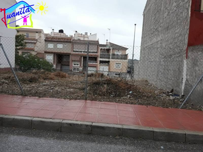 SOLAR DE 210 METROS EN VILLANUEVA DEL RIO SEGURA - foto 4