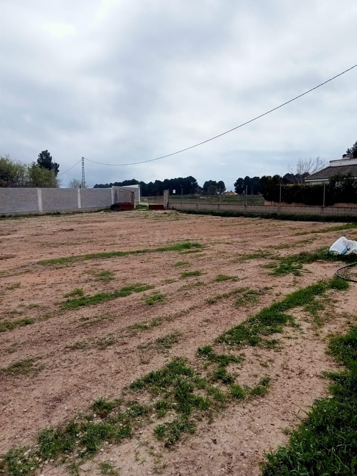 Se vende parcela rústica a un minuto de Albacete - foto 3
