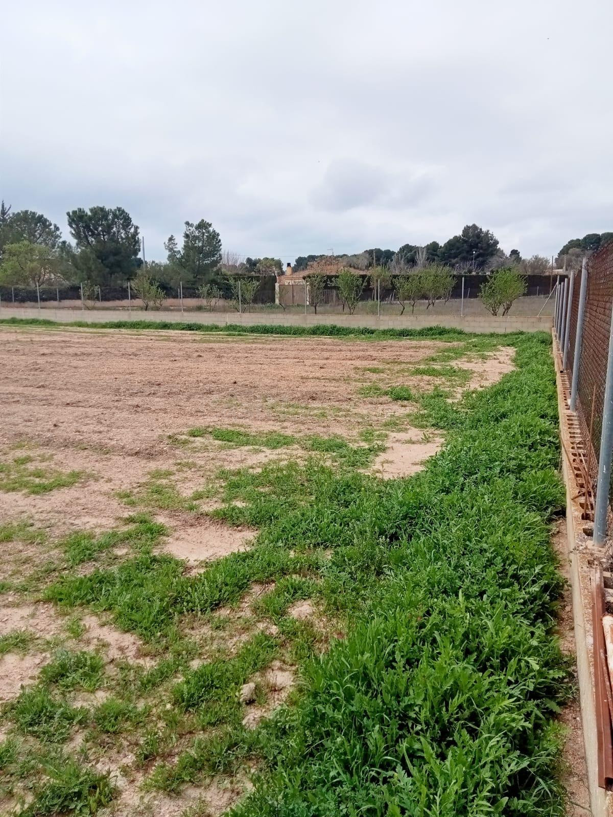 Se vende parcela rústica a un minuto de Albacete - foto 4