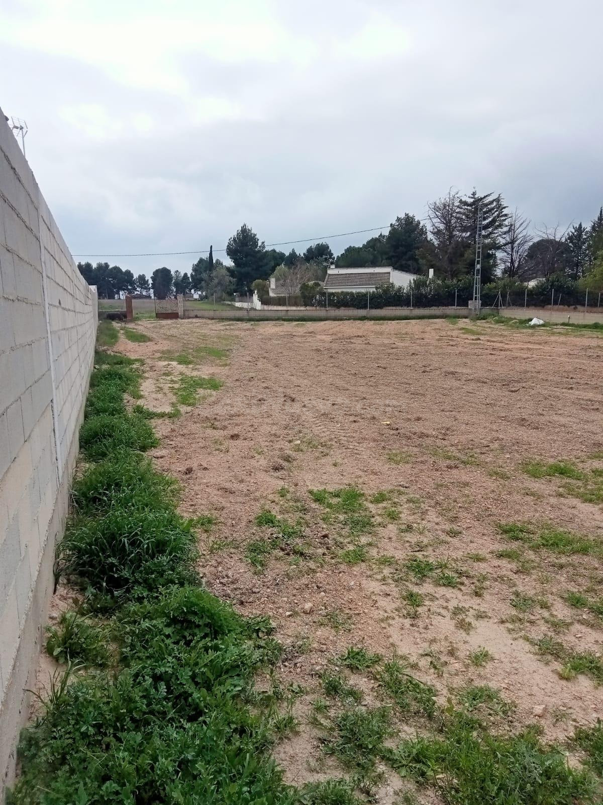 Se vende parcela rústica a un minuto de Albacete - foto 5