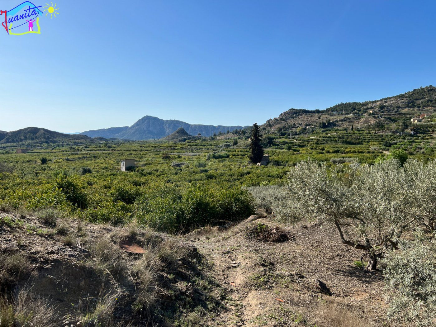 TERRENO CON RIEGO DE GOTEO EN LA SIERRA DE RICOTE