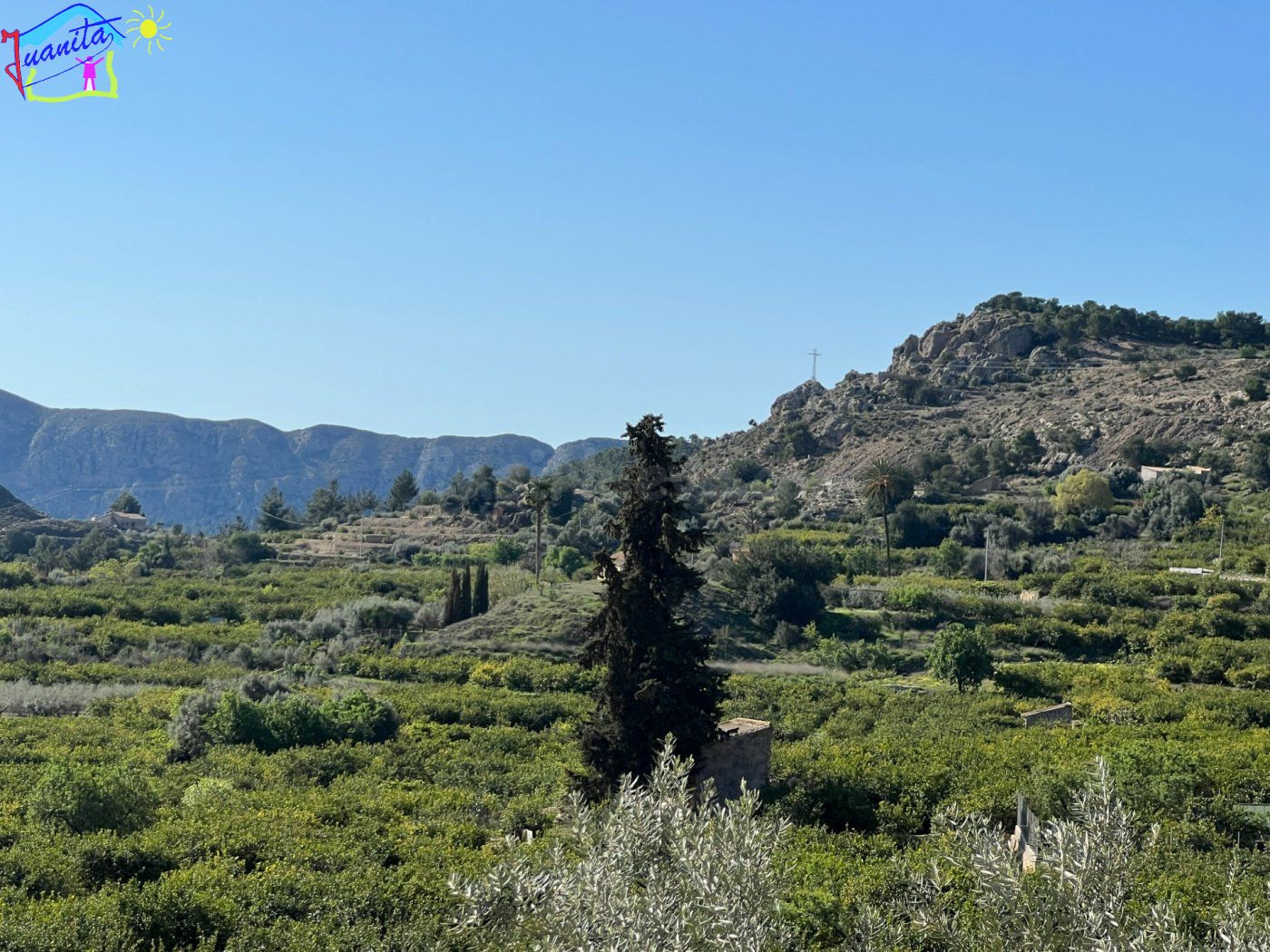 TERRENO CON RIEGO DE GOTEO EN LA SIERRA DE RICOTE - foto 2