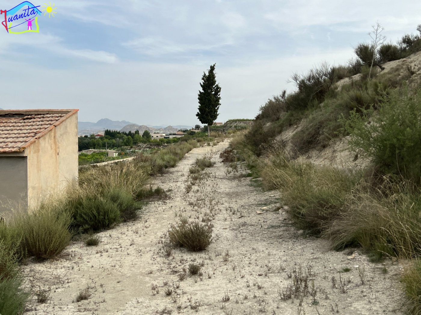 HUERTA EN LOS TOLLOS ( ARBOLEDAS ) - foto 3