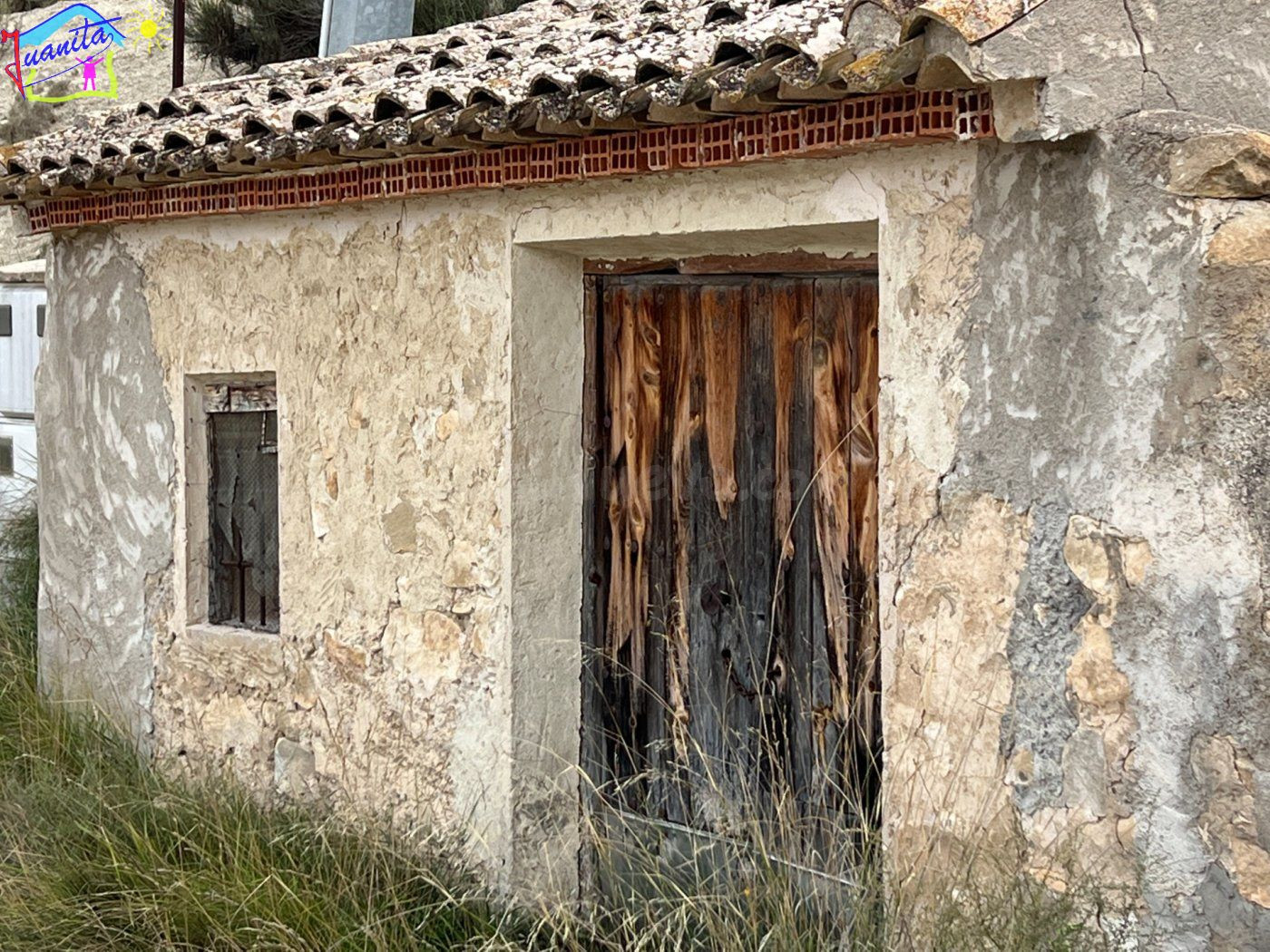 HUERTA EN LOS TOLLOS ( ARBOLEDAS ) - foto 4