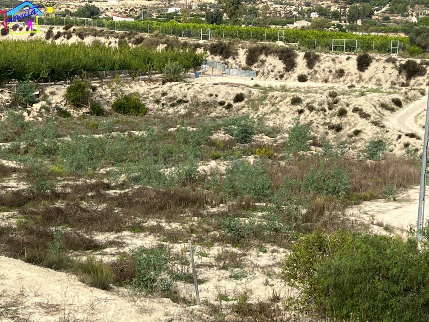 HUERTA EN LOS TOLLOS ( ARBOLEDAS ) - foto 5