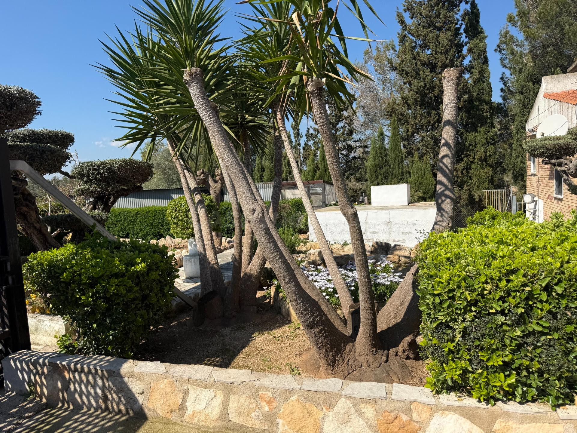 Finca rústica con vivienda legalizada y anexos en Santa Bàrbara (Tarragona)
