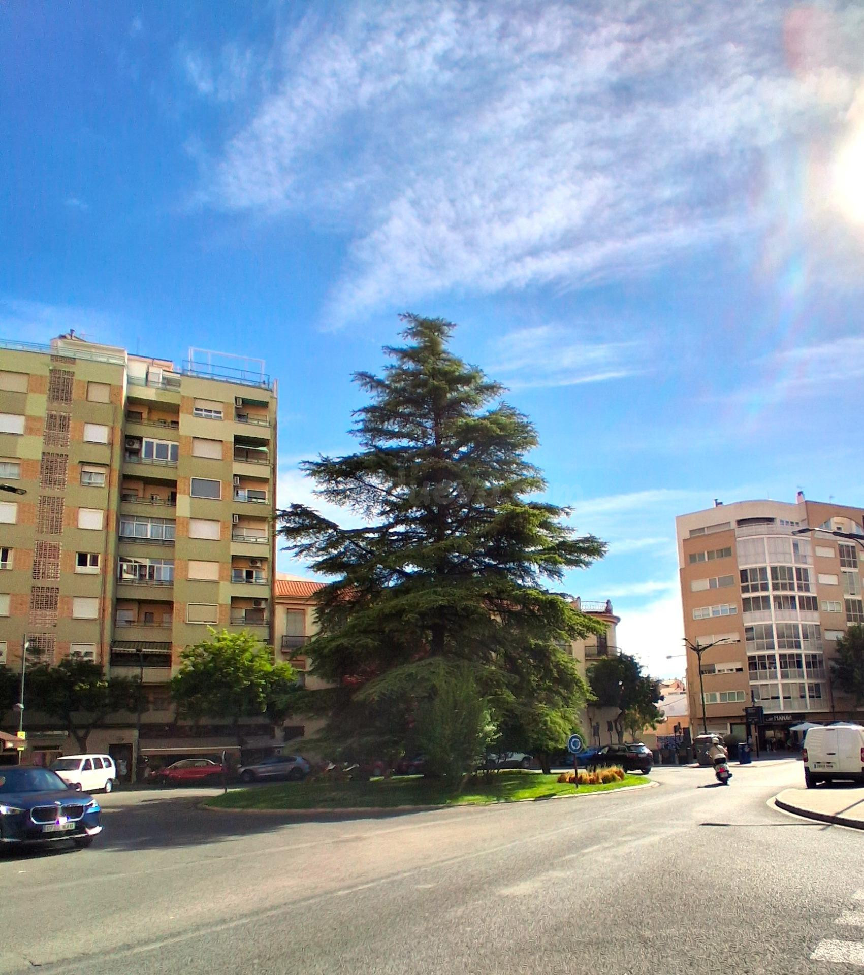 OPORTUNIDAD! PISO EN VENTA 4 DORMITORIOS ZONA AYUNTAMIENTO. - foto 3
