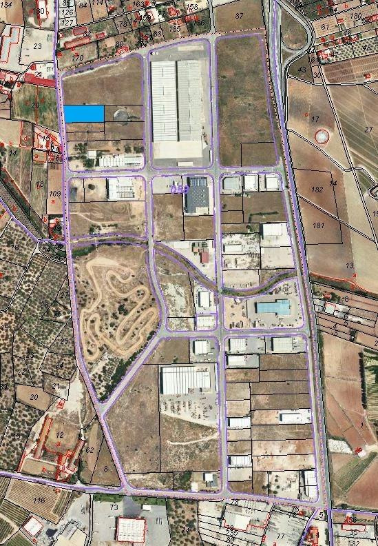 PARCELA INDUSTRIAL DE 5.000 METROS EN EL POLÍGONO INDUSTRIAL ORIOLA, AMPOSTA - foto 2
