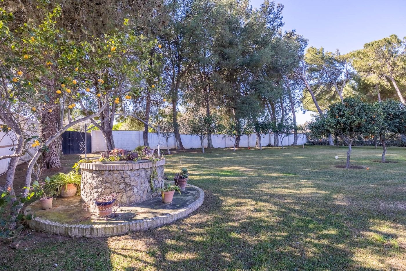 Chalet 4 habitaciones 239m² en venta - Urb la cierva - foto 3