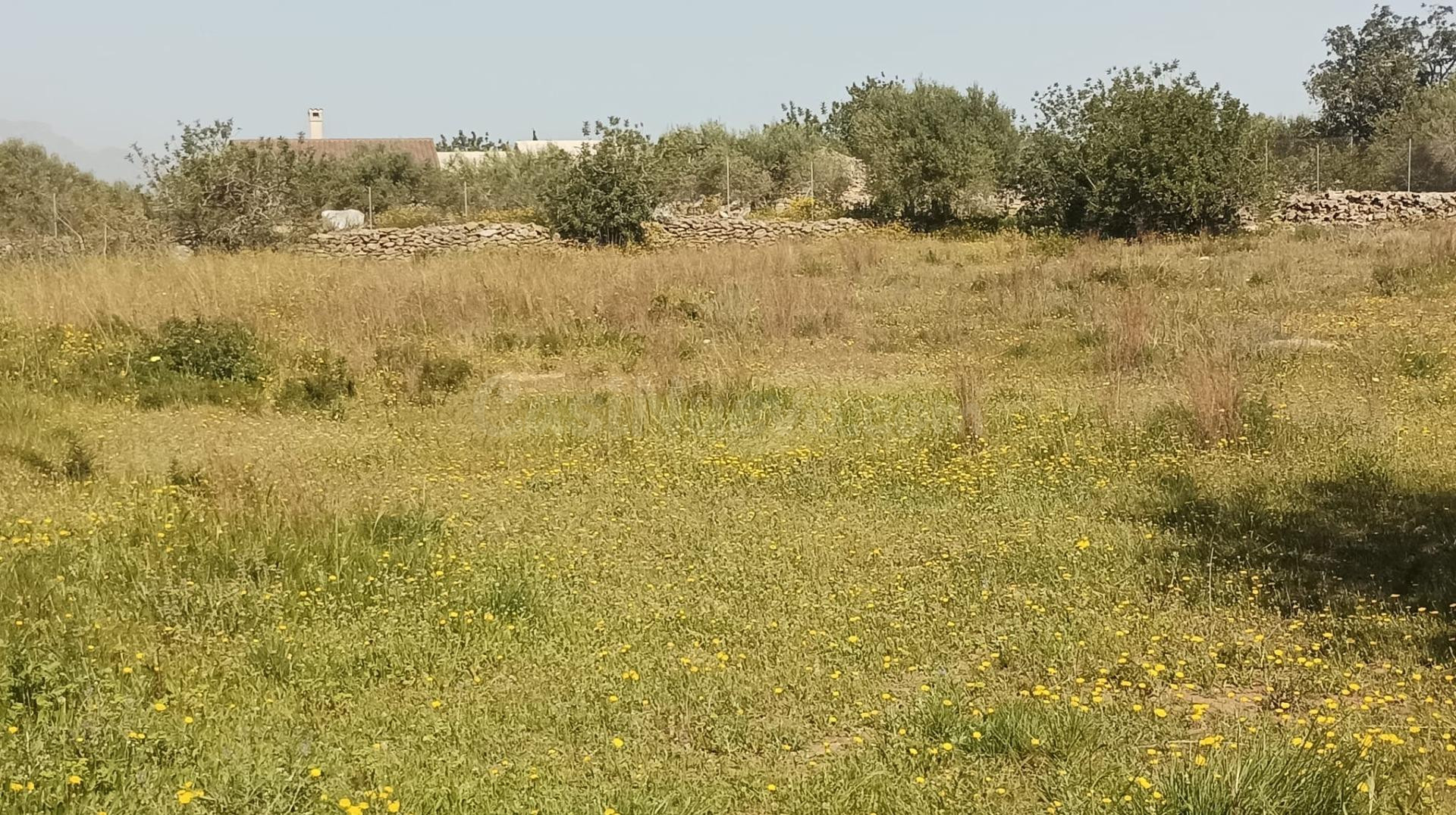 TERRENO MAGNIFICA UBICACIÓN - foto 4