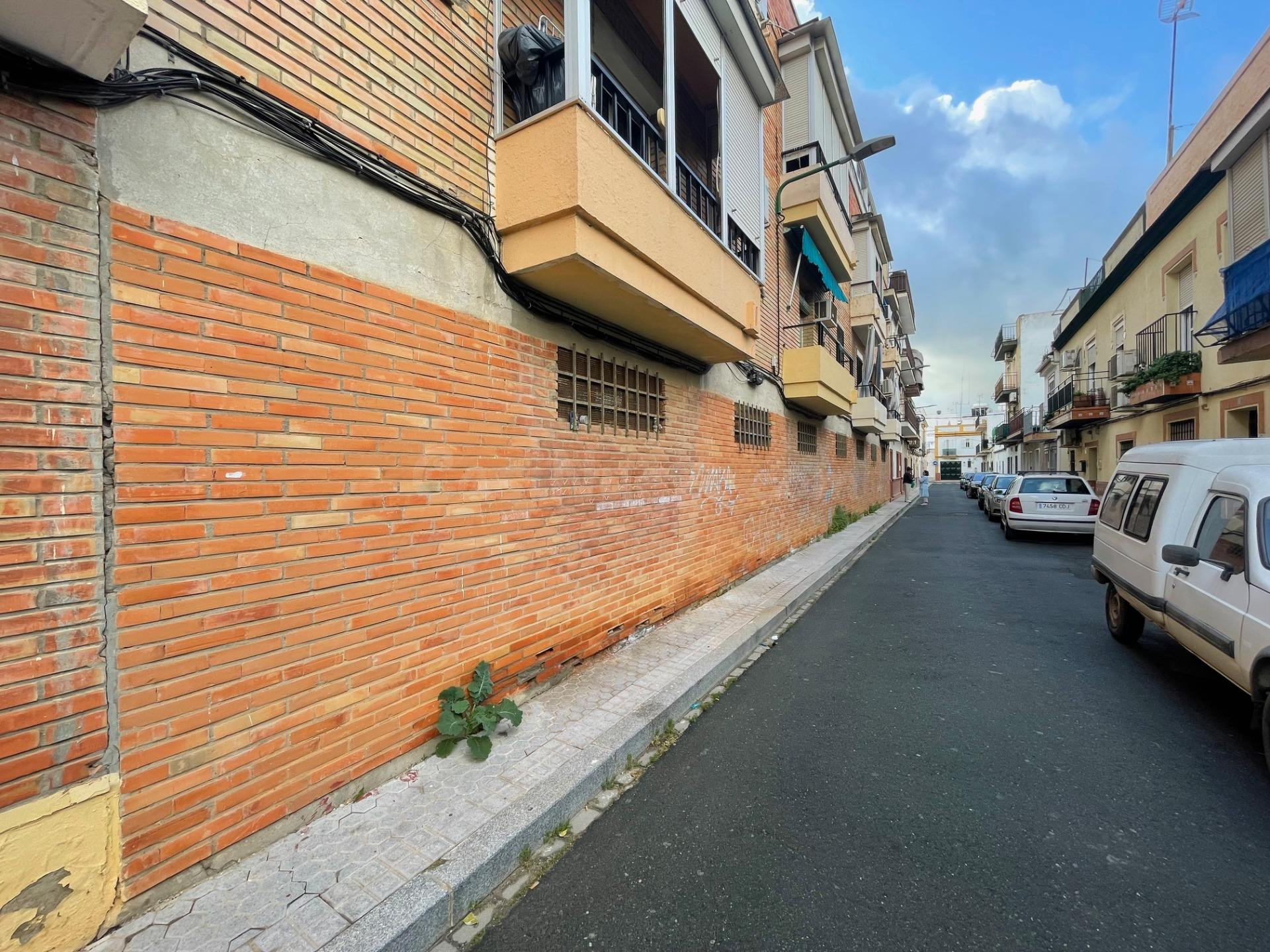 Local comercial 649m² en venta - Bami - Pineda - foto 4