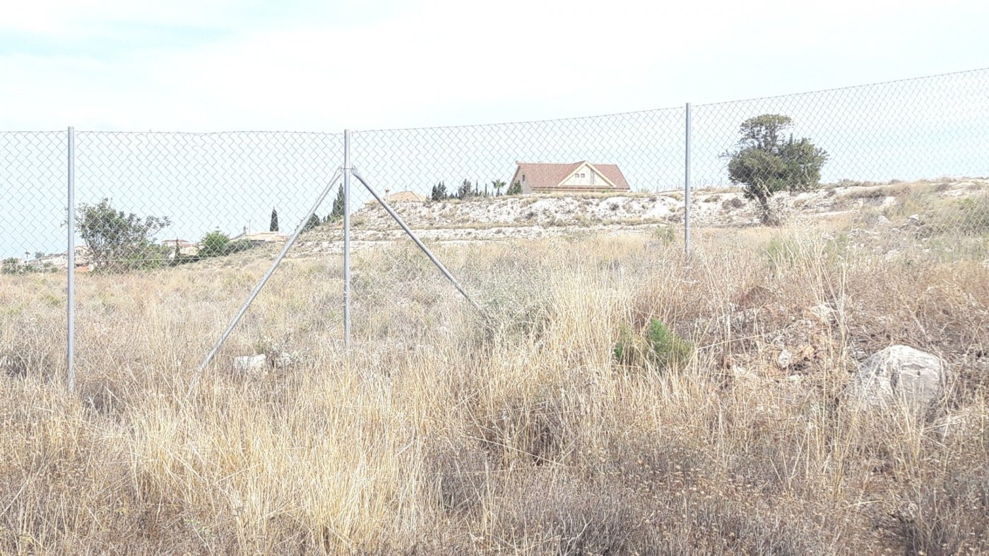 Parcela rústica en la Partida Collado de Muchamiel con posib - foto 2