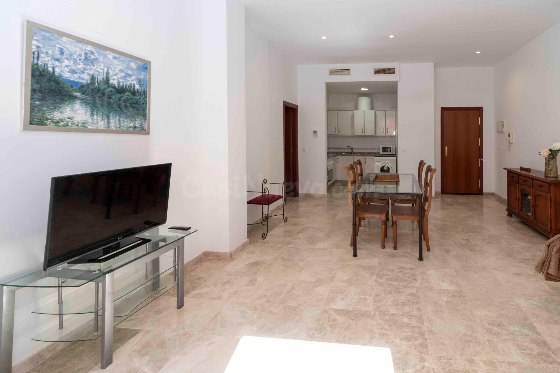 APARTAMENTO EN CASCO ANTIGUO AMUEBLADO CON GARAJE Y TRASTERO. - foto 3