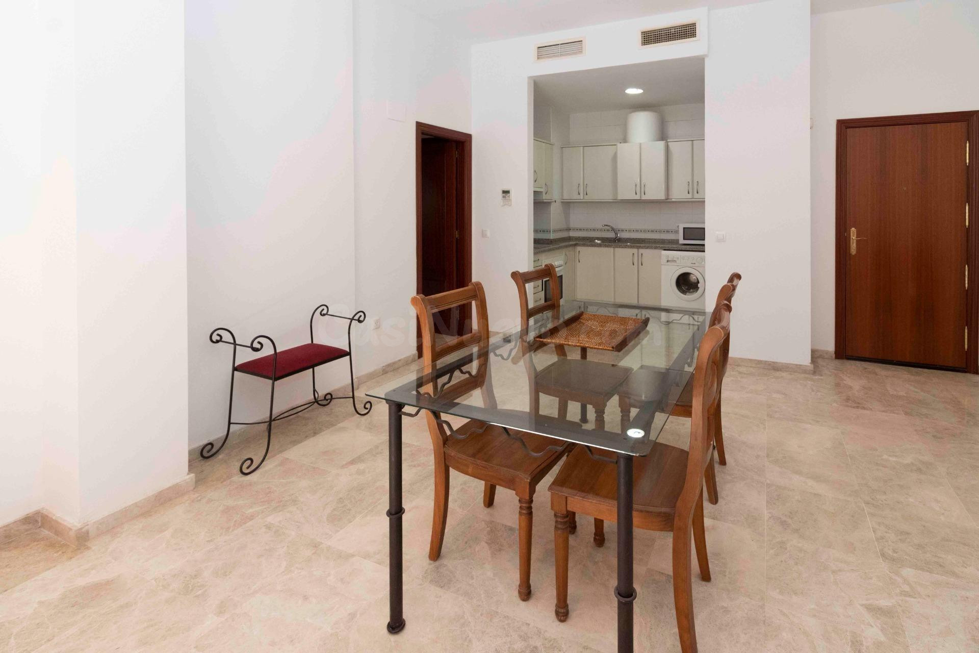 APARTAMENTO EN CASCO ANTIGUO AMUEBLADO CON GARAJE Y TRASTERO. - foto 5