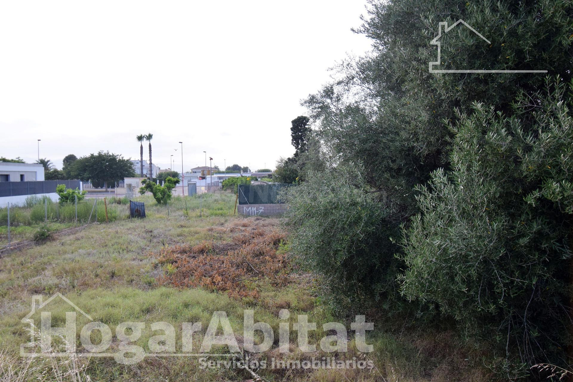 TERRENO URBANO EN PRIMERA LÍNEA JUNTO AL MAR