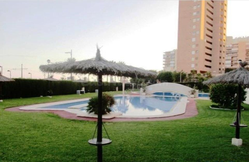 Estudios en Playa Muchavista: Oportunidad Única de Alquiler