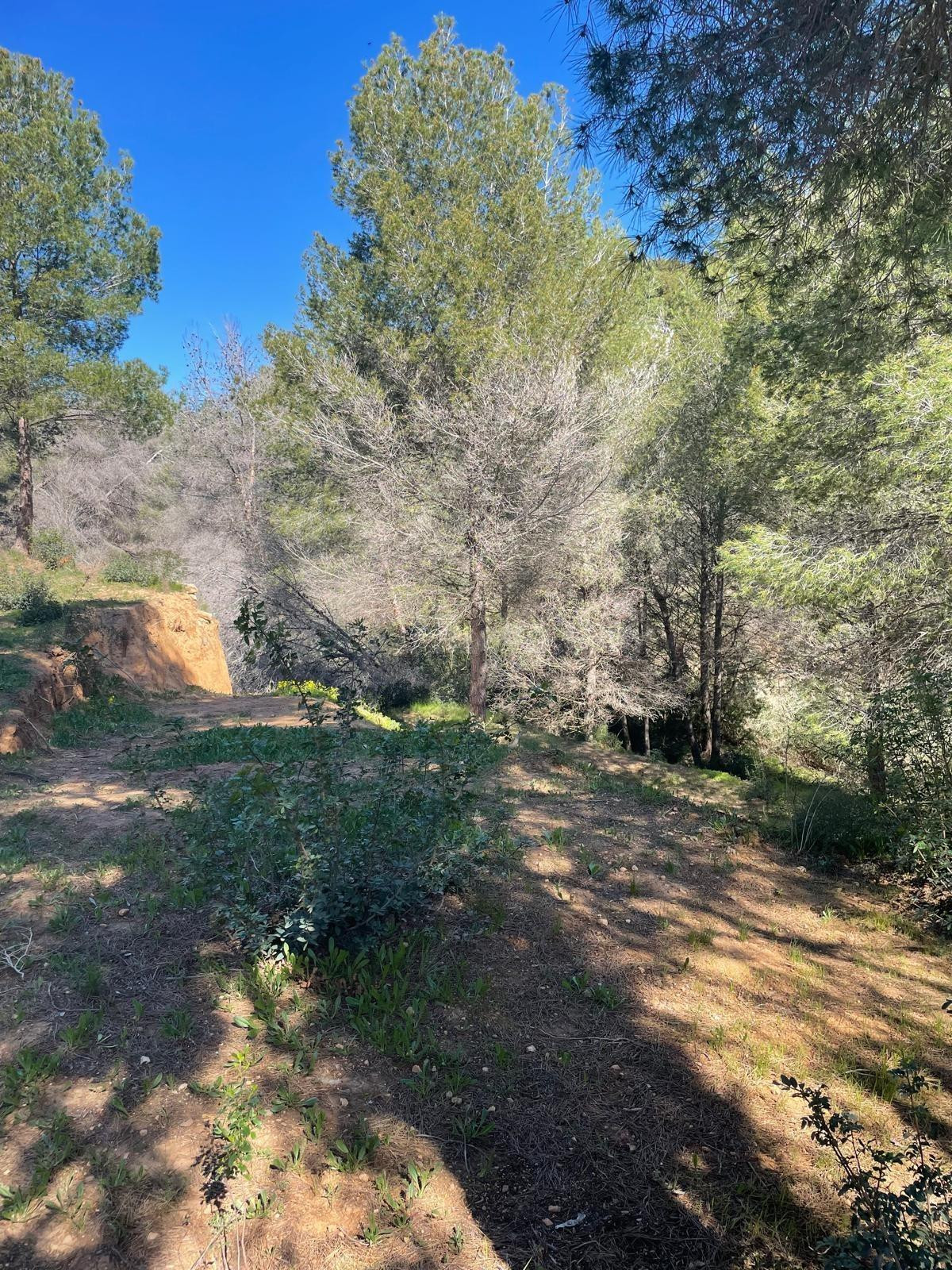 Parcela con proyecto andando a cala Baladrar Benissa Costa - foto 5