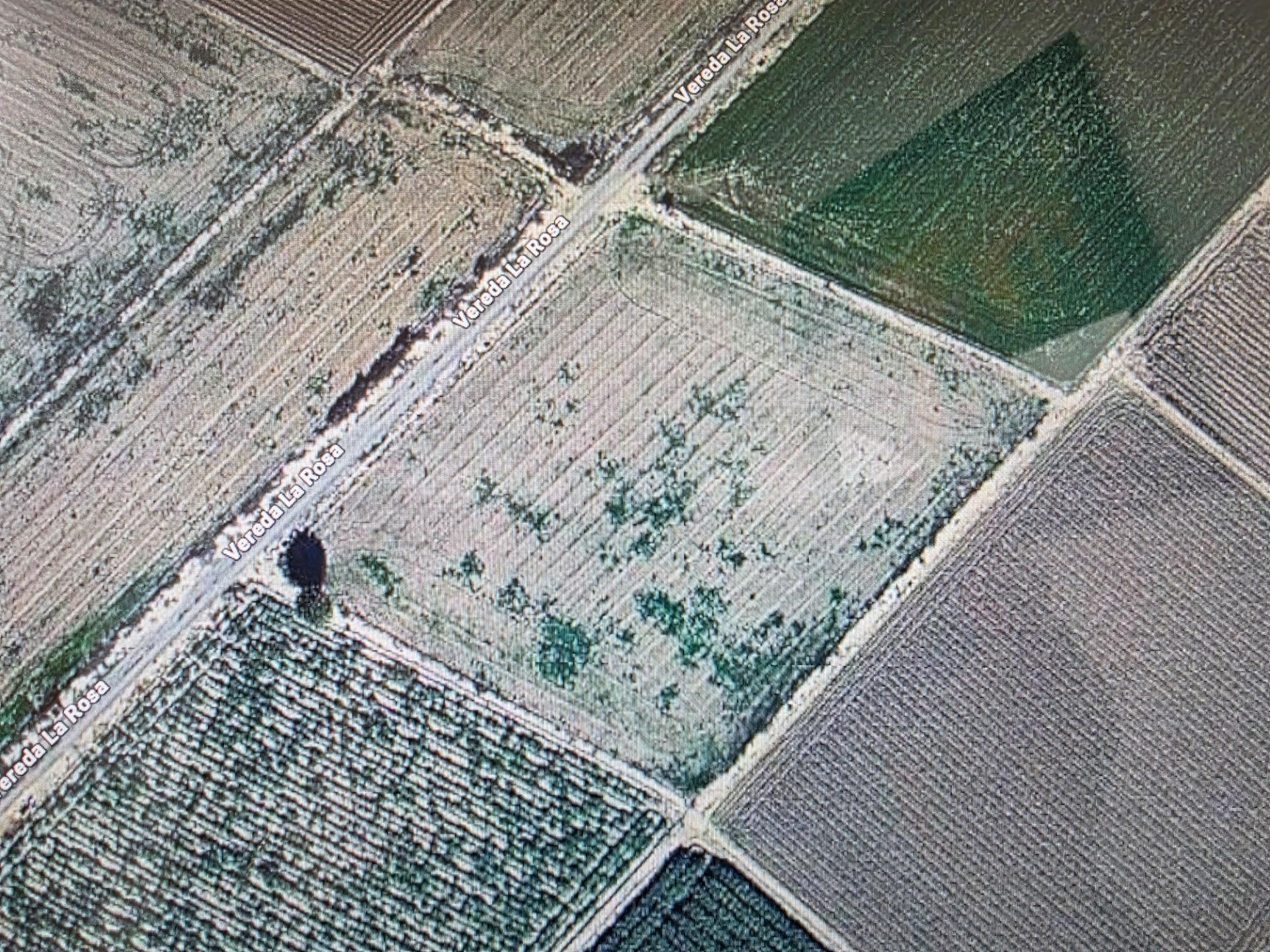 PARCELA REGADIO EN SAN FULGENCIO - foto 2