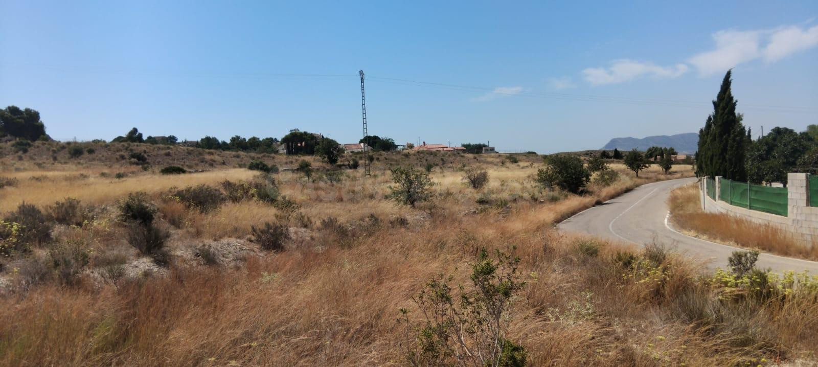 Terreno rústico de 16500 metros con posibilidad de construir - foto 5