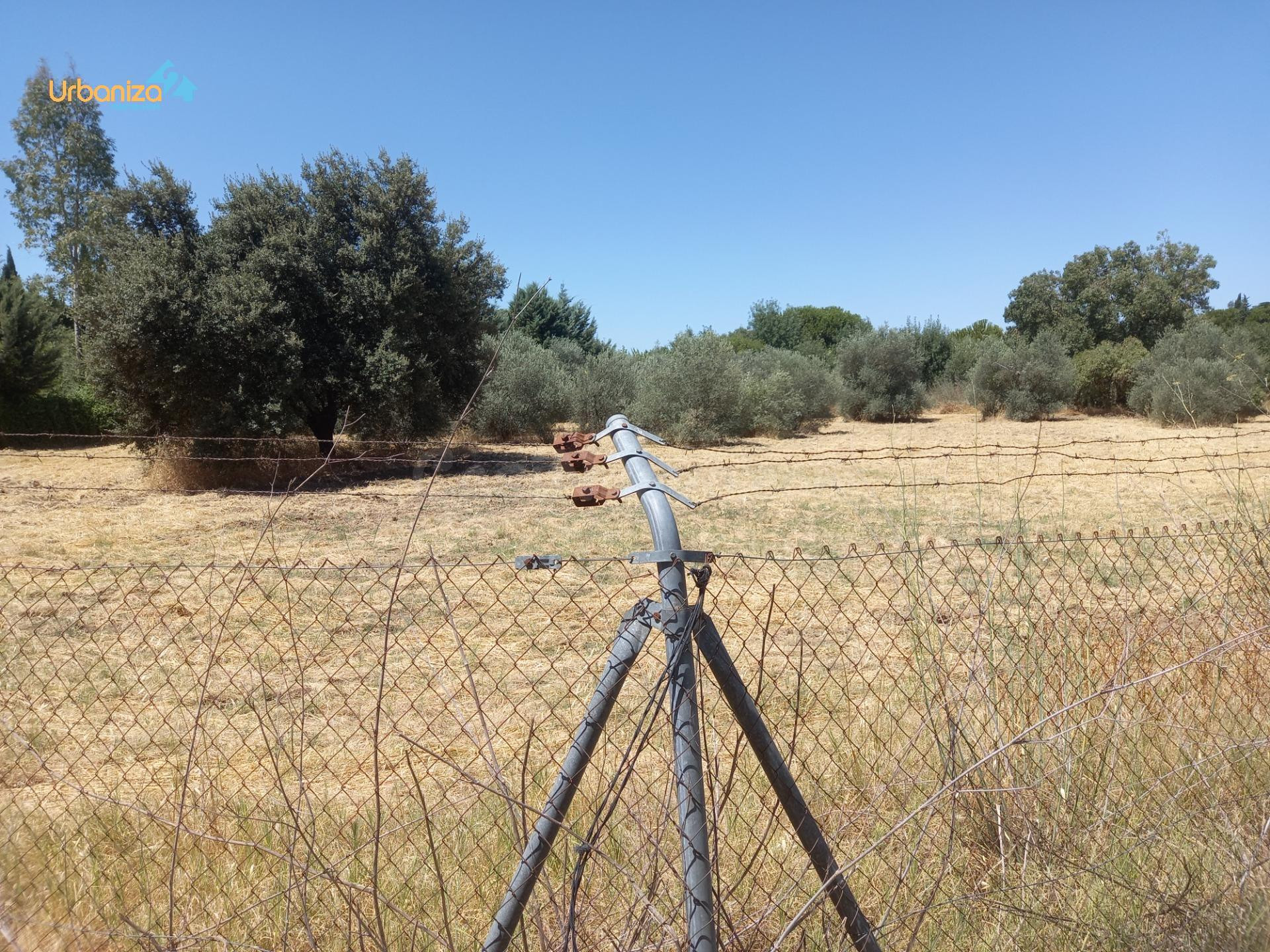 PARCELA DE 5.000m2 EN DEHESILLA DE CALAMON