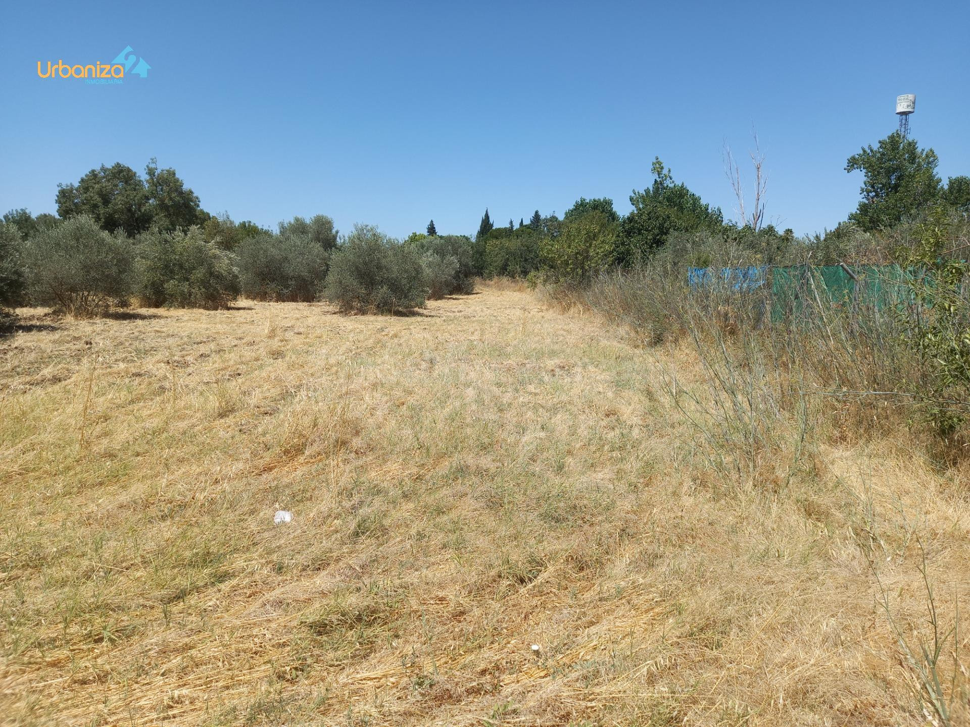PARCELA DE 5.000m2 EN DEHESILLA DE CALAMON - foto 4
