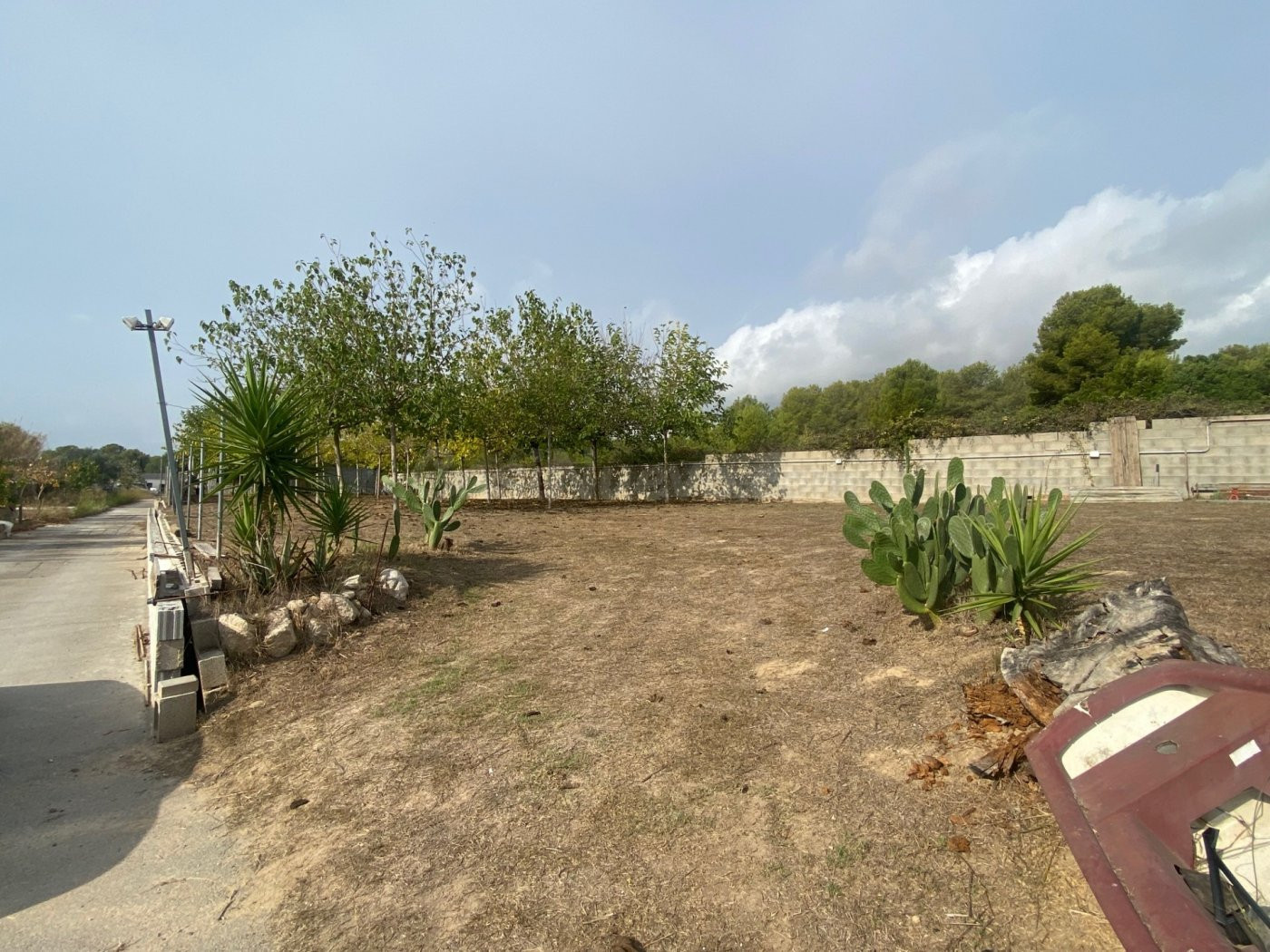 Finca rústica 3 habitaciones 511m² en venta - La solana - foto 2
