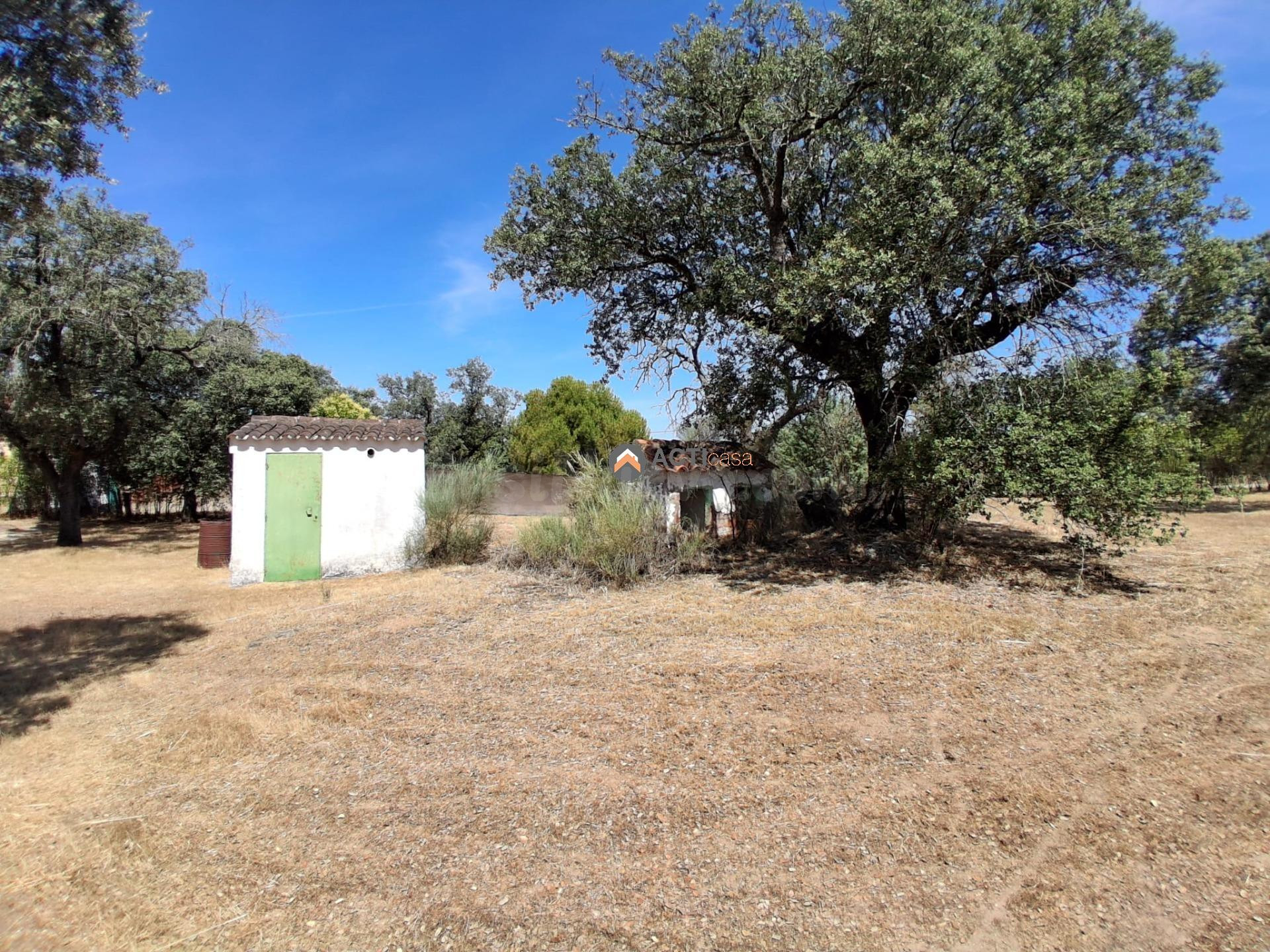 FINCA RÚSTICA EN CÁCERES - foto 3