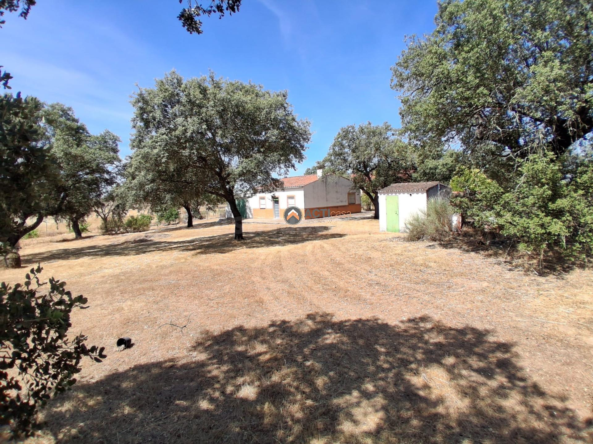 FINCA RÚSTICA EN CÁCERES - foto 4