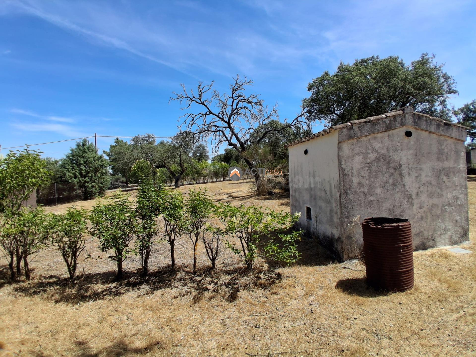FINCA RÚSTICA EN CÁCERES - foto 5