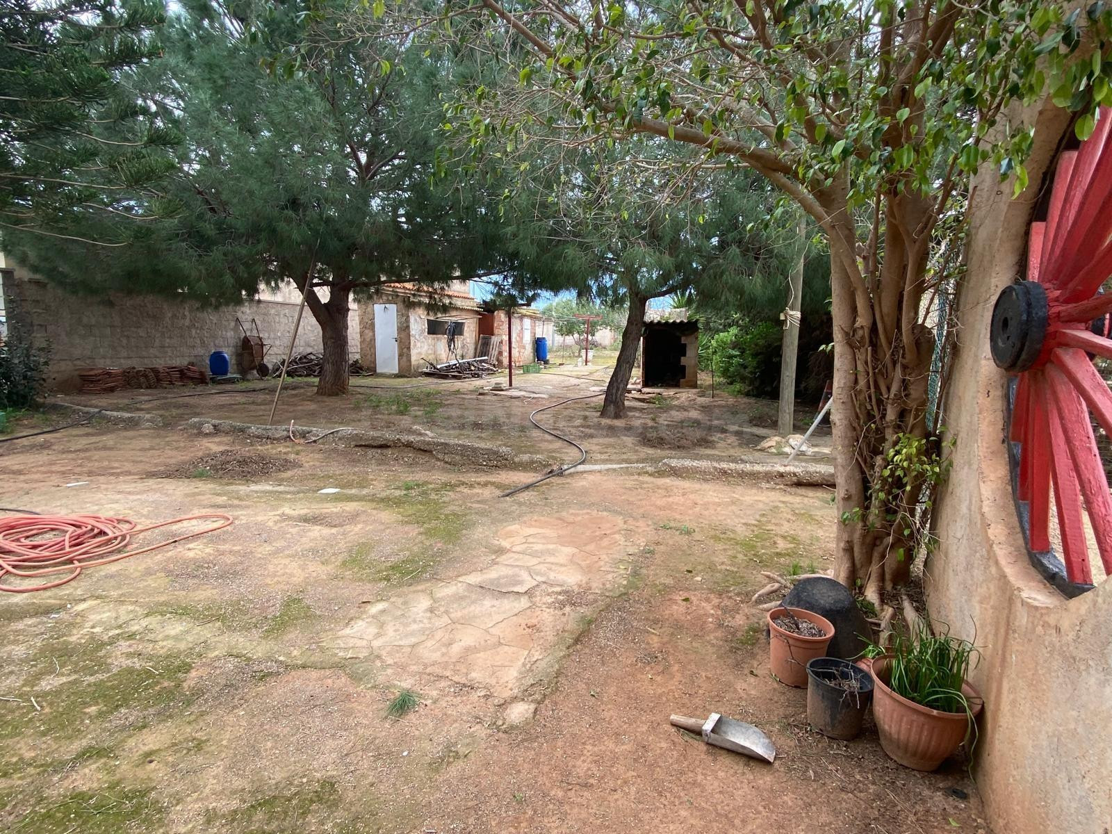 Terreno rústico en Cartagena, Pasaje Los Nietos. - foto 3