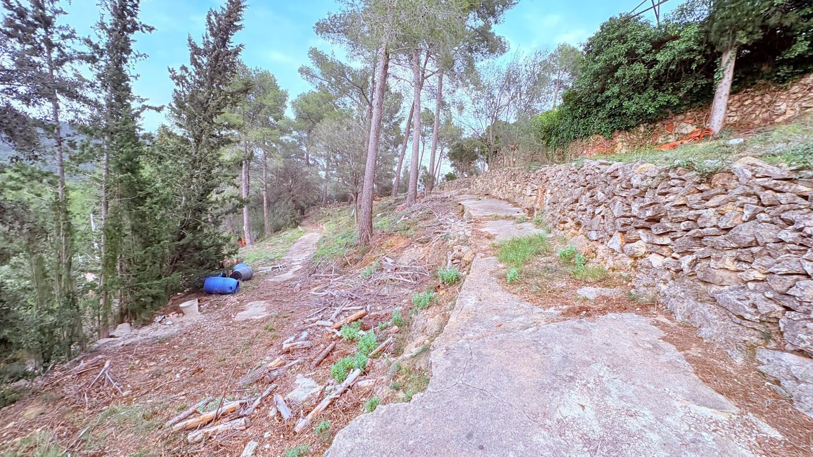 TERRENY RÚSTIC, AL BOSC DE GUANTA - foto 2
