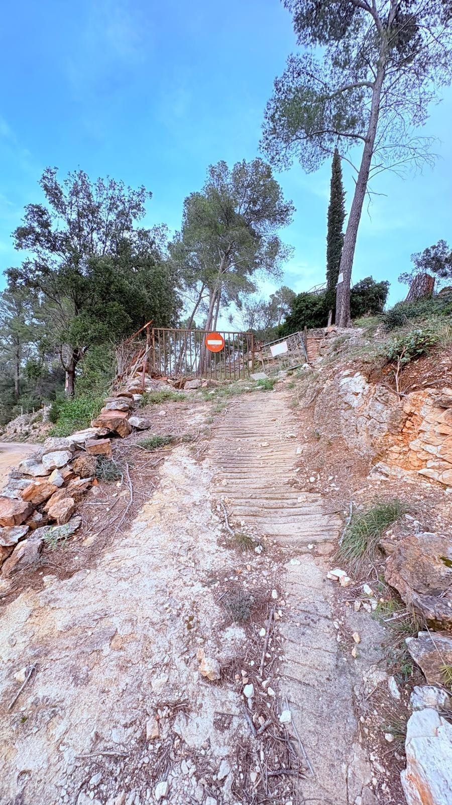 TERRENY RÚSTIC, AL BOSC DE GUANTA - foto 3