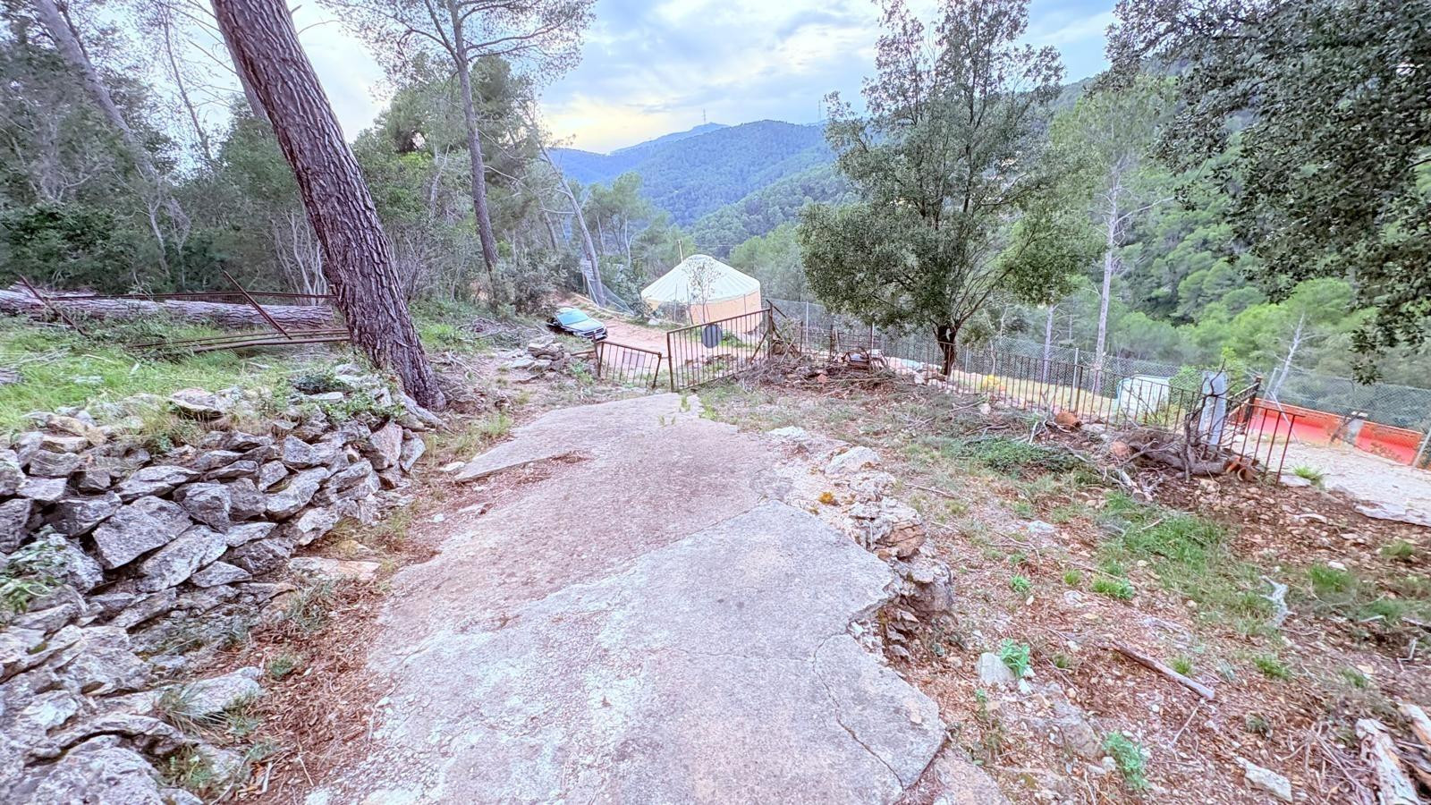 TERRENY RÚSTIC, AL BOSC DE GUANTA - foto 4