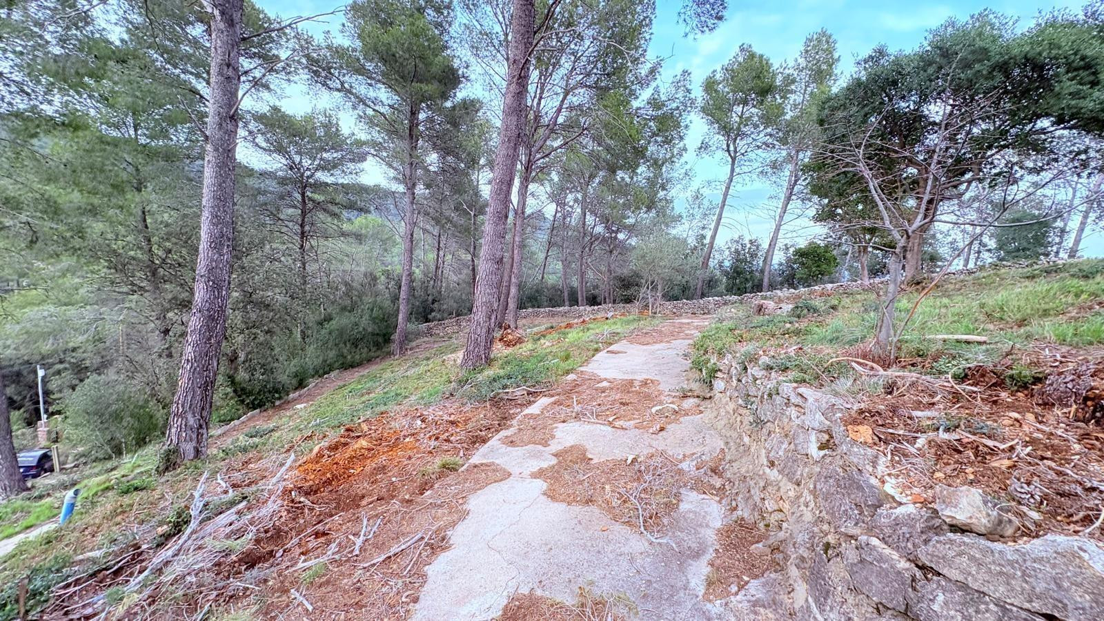TERRENY RÚSTIC, AL BOSC DE GUANTA - foto 5