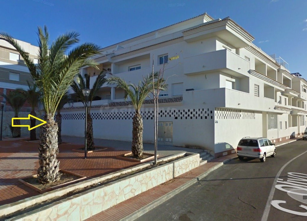 LOCAL COMERCIAL EN ABANILLA - foto 2