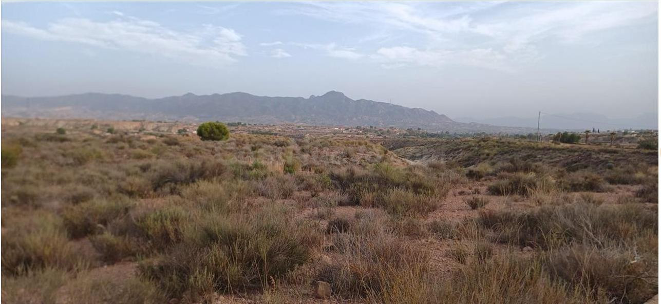 Gran oportunidad: Conjunto de fincas rústicas de 91.289 m2 e - foto 3